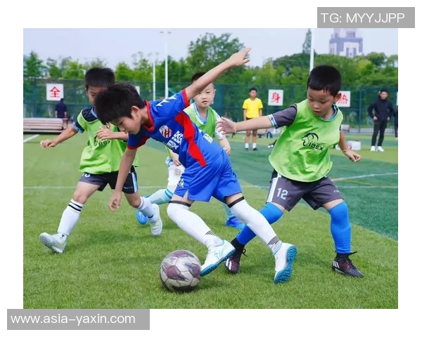 追逐梦想的绿茵场信仰与激情交织的足球小说之旅